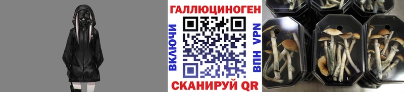 Псилоцибиновые грибы Magic Shrooms Дзержинский