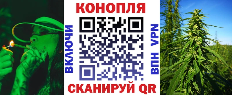 где можно купить наркотик  Дзержинский  Каннабис SATIVA & INDICA 